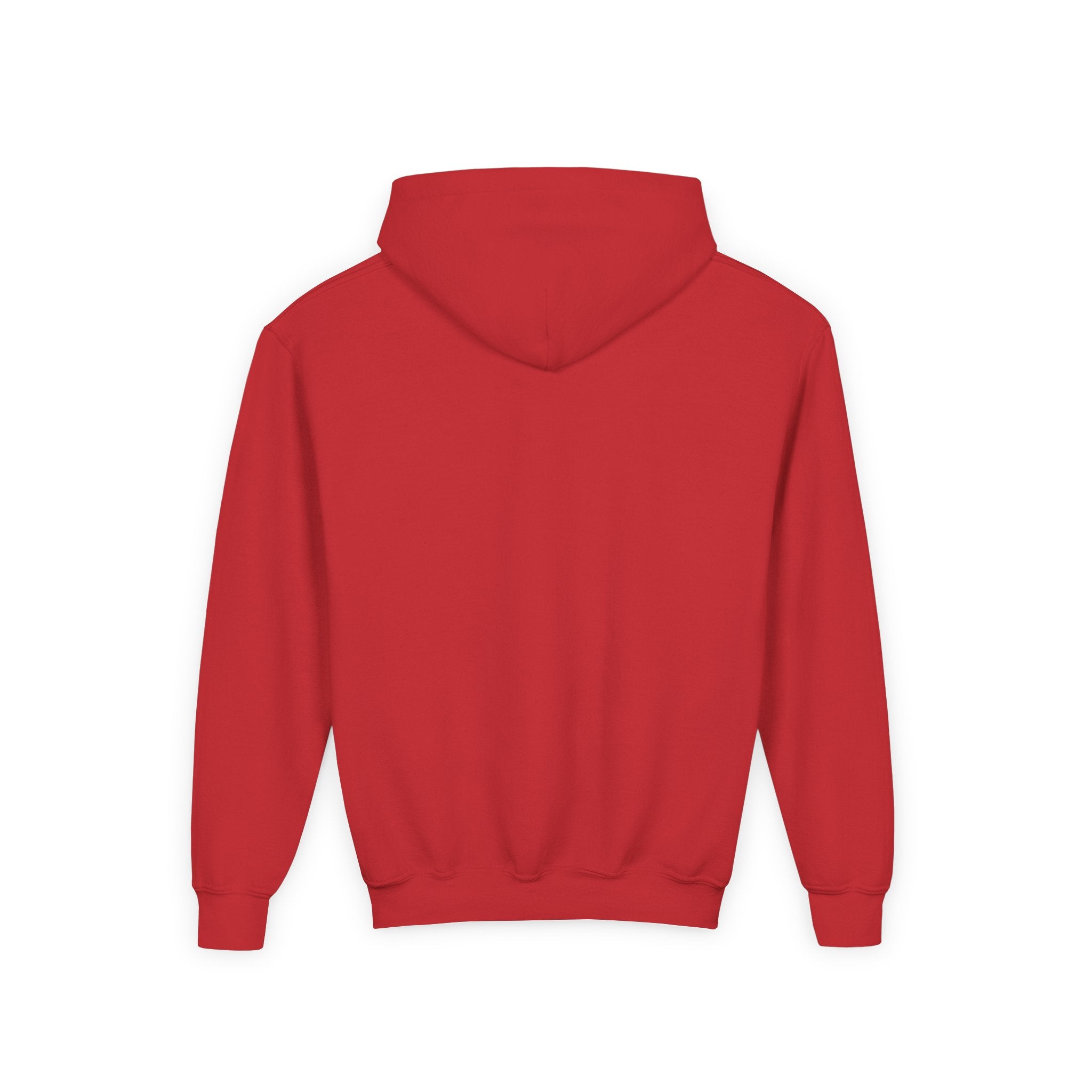 Little Vi Youth Vi-Hoodie – Multicultural Roots Pride