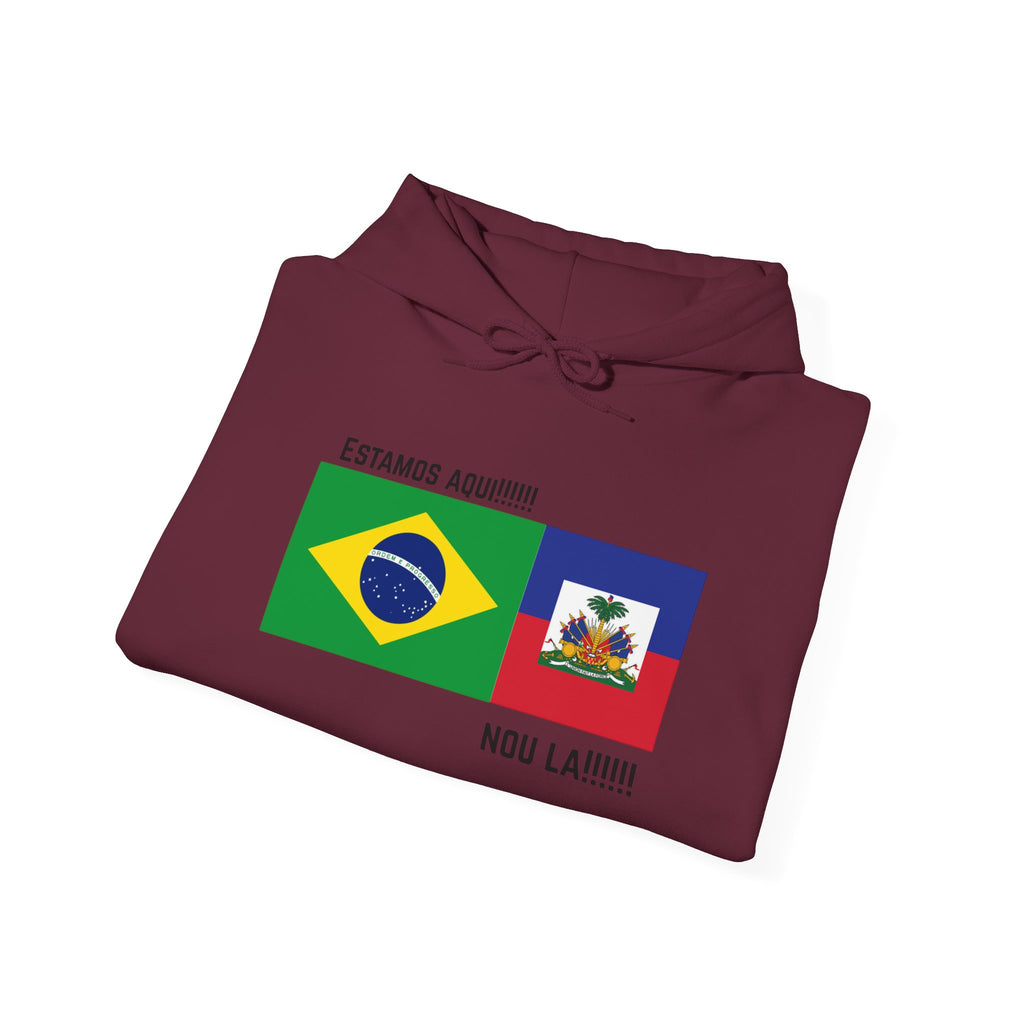 Vi-Hoodie Haiti Brazil Flag Hoodie — "Estamos Aqui!!! Nou La!!!!!"