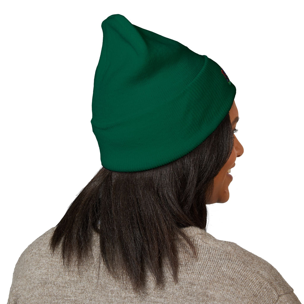 Vi-Cap Embroidered beanie - 1804 Haitian heritage