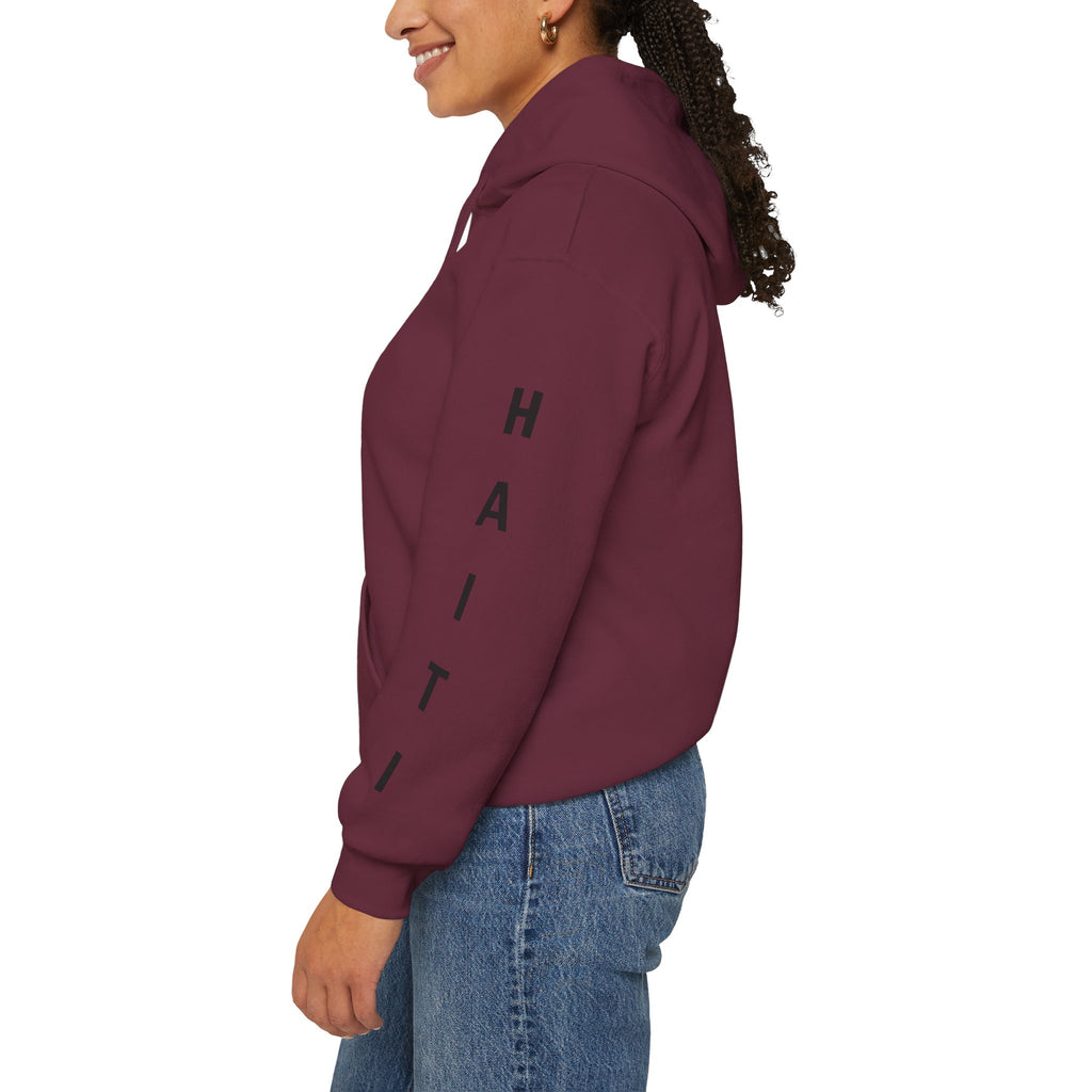 Vi-Hoodie Haiti Brazil Flag Hoodie — "Estamos Aqui!!! Nou La!!!!!"
