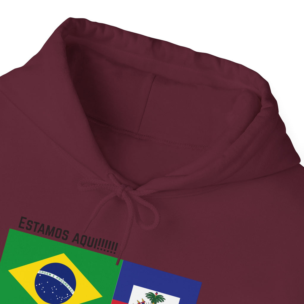 Vi-Hoodie Haiti Brazil Flag Hoodie — "Estamos Aqui!!! Nou La!!!!!"