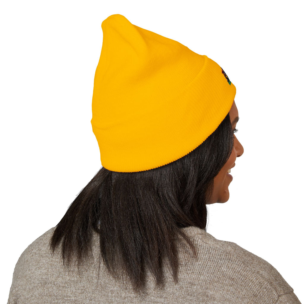 Vi-Cap Embroidered beanie - 1804 Haitian heritage