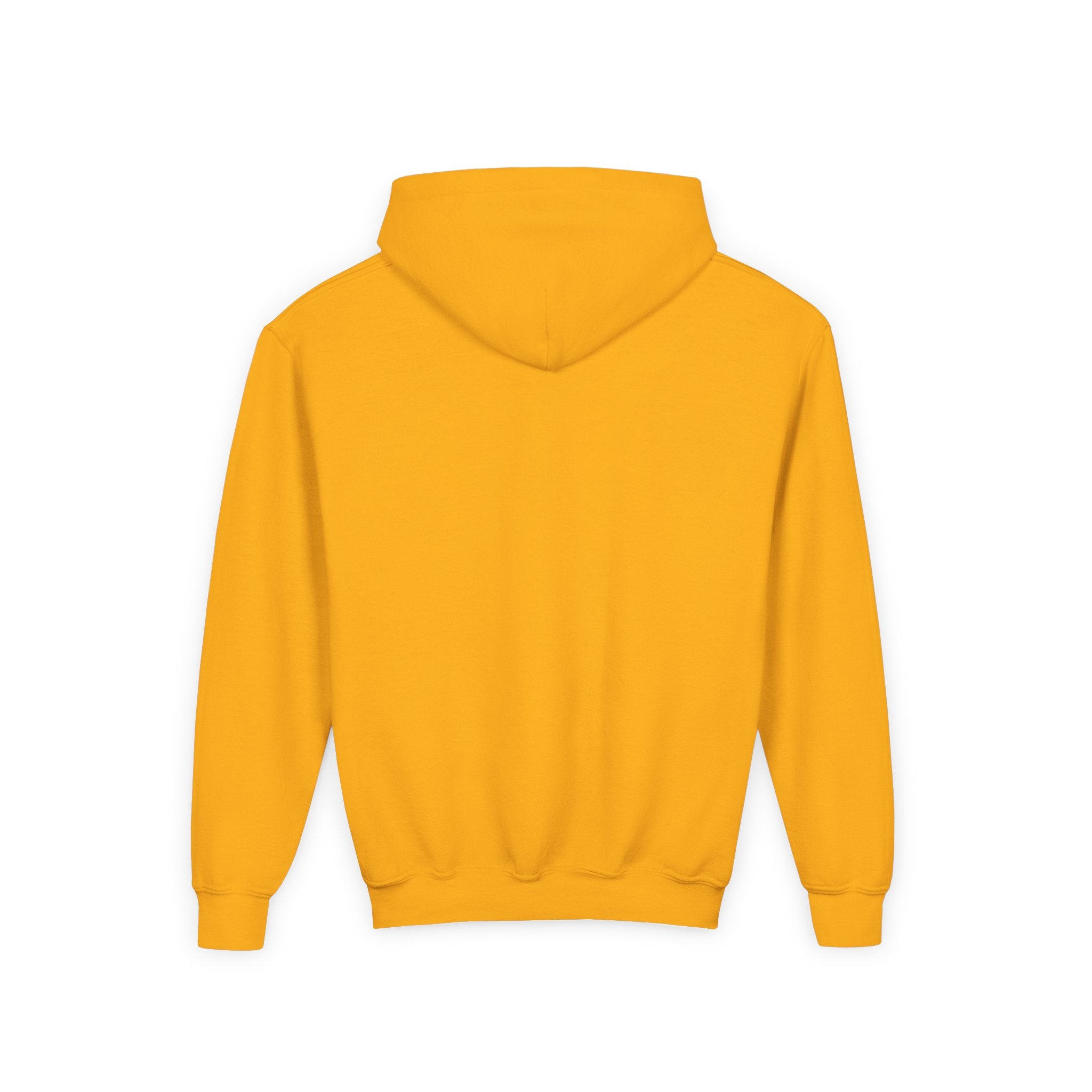 Little Vi Youth Vi-Hoodie – Multicultural Roots Pride
