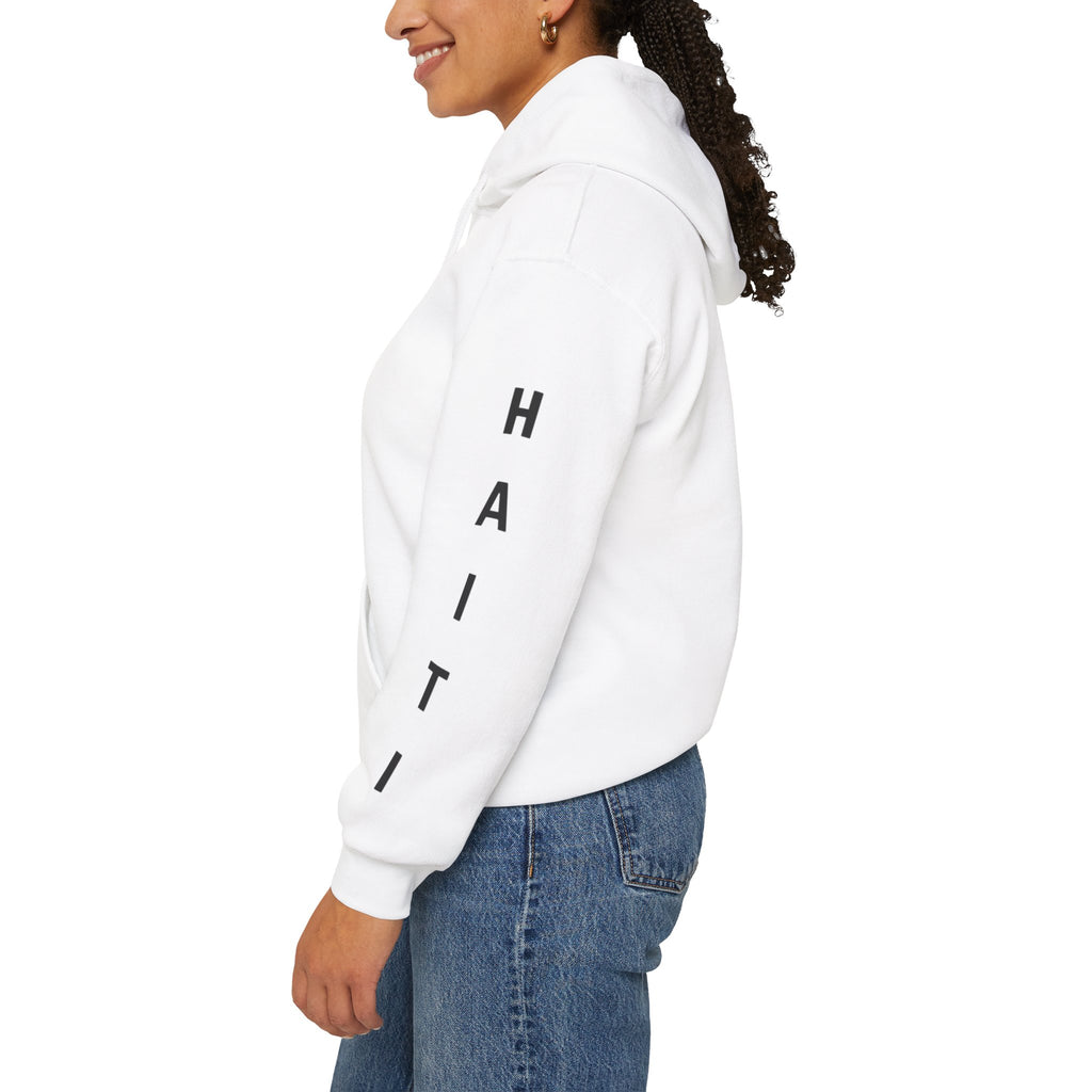 Vi-Hoodie Haiti Brazil Flag Hoodie — "Estamos Aqui!!! Nou La!!!!!"