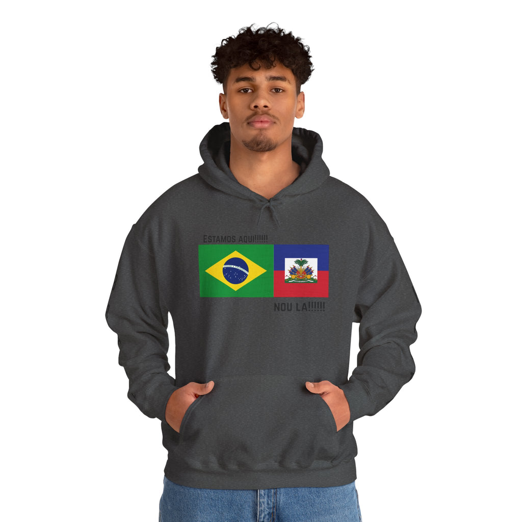 Vi-Hoodie Haiti Brazil Flag Hoodie — "Estamos Aqui!!! Nou La!!!!!"